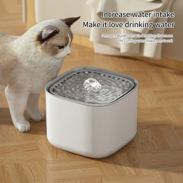 A cat eyes the KittyNook Cat Co. Filtered Cat Water Fountain, designed to boost healthy feline hydration.